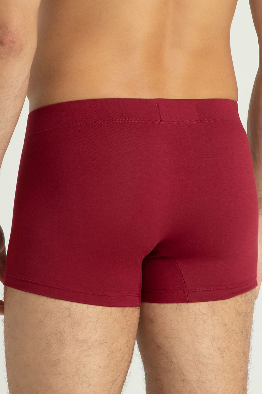 888.0619_VI_002_Cueca-Boxer-Viscolycra